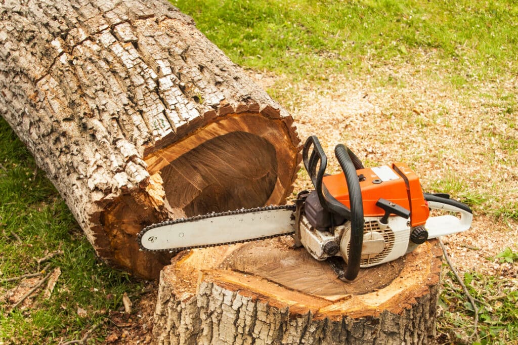 Tree Service Experts